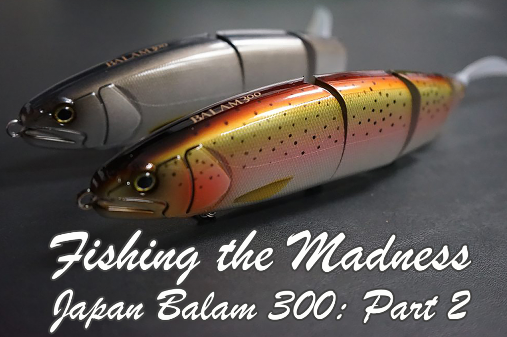 Fishing the Madness Japan Balam 300: Part 2
