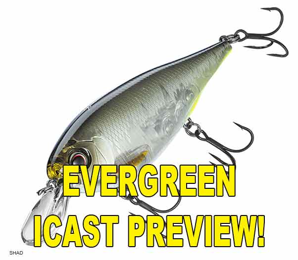 Evergreen XV-5 Preview
